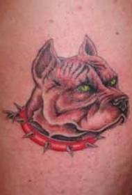 스파이크 칼라 문신 패턴을 입고 개 목