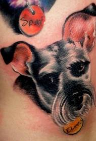 Krāsu skaists suņa iemiesojums ar burtu tetovējuma modeli