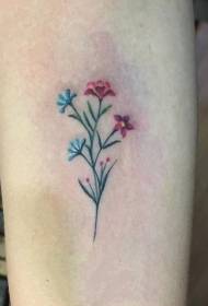 Mini tatuagens, tatuagens de plantas frescas e bonitas
