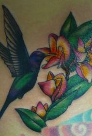 Синяя татуировка колибри и жасмина