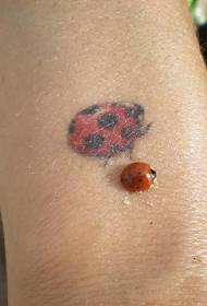 Modellu realistu di tatuaggi di ladybug
