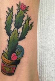 Рослина татуювання, багаторазово намальований ескіз татуювання, візерунок татуювання рослин