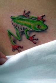 腰色逼真的綠色青蛙紋身圖案