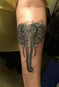 Boys Arms on Black Grey Sketsa Sting Tips Creative Exquisite Elephant Tattoo