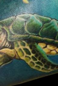 Patrón de tatuaxe de tartaruga verde realista de cor