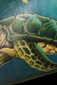 Modello di tatuaggio realistico tartaruga verde di colore delle gambe