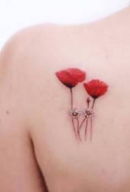 Tatuaje cu plante proaspete mici Un set mic de imagini de tatuaje mici colorate