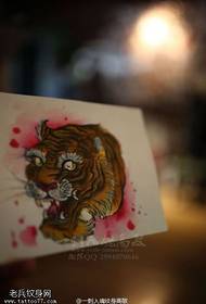 Krāsu personības tīģera galvas tetovējums manuskripta attēls