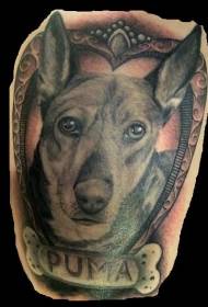 Dicitur enim sum servus tuus canis habet imaginem et stigmata hummer