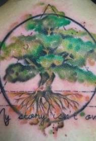 Plant di tatuaggi di tatu di variità tatuaggi di variità di mudellu di tatuaggi di pianta