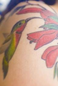 Tatuaggio di colibrì esotico color spalla