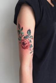 Tetování růže květ bud tetování vzor