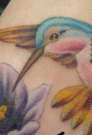أقدام ملونة لطيف الطائر الطنان مع زهرة الوشم