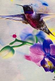 Watercolor splash ranomainty vita sary hoso-doko vita amin'ny hazo floral tattoo hummingbird