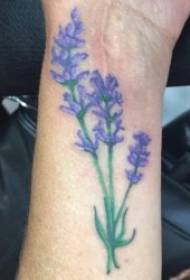 Reticoli del tatuaggio della lavanda 9 tatuaggi della lavanda di bellezza lunga