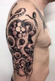 ເດັກຊາຍແຂນກ່ຽວກັບ ຄຳ ແນະ ນຳ ກ່ຽວກັບການແຕ້ມຮູບເທົາສີເທົາ ດຳ Octopus Tattoo Creative