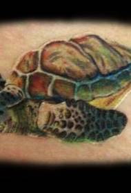 Цвят на талията добре изглеждащ модел на татуировка на костенурка