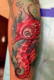 手臂彩色漂亮的红海马纹身图片