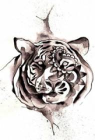 Manoscritto del tatuaggio della testa di tigre prepotente dell'inchiostro della spruzzata dell'inchiostro di schizzo grigio nero dell'inchiostro
