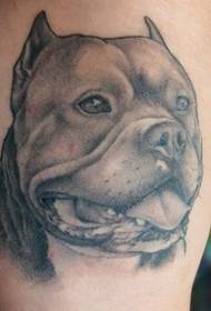 Griis Rottweiler holleportret tattoo patroan