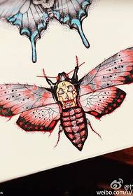 ໜັງ ສືໃບລານທີ່ແຕ້ມດ້ວຍສີມ້ອນ moth