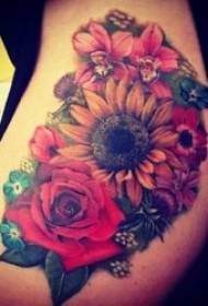 Illustrazione di tatuaggi di girasole 10 piante di tatuaggi dipinti belli mudellu di tatuaggi di girasole