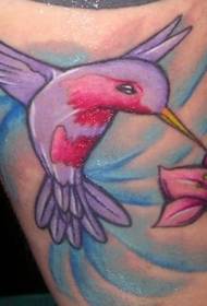 Arm color hummingbird, flower, tattoo pattern