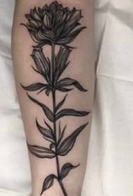 Apreciação de tatuagem de planta preta do tatuador de Chicago