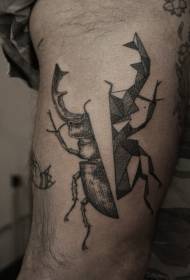 Model de tatuaj de insecte semi-geometrice de coapse