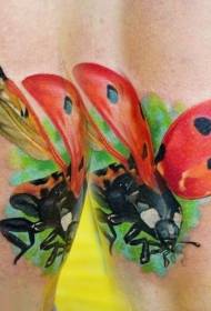 ლამაზი ნათელი ფერადი ladybug tattoo ნიმუში