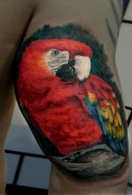 Реалистичный стиль реалистичный цвет татуировки попугай