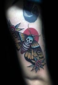 Insetti di tatuaggi di mudellu di tatuaggi di moth di insetti divertenti