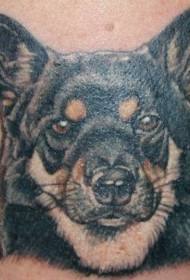 Modello tatuaggio color pastore