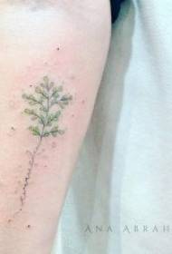 식물 문신 패턴 멀티 그린 문신 창의적이고 작은 신선한 문신 식물 모티프
