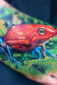 רגליים דפוס קעקוע צפרדע אדום מציאותי בצבעי מים