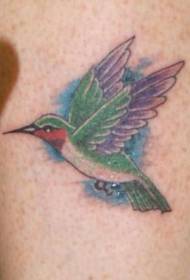 ʻ colorku pualikoa kiʻi kiʻi hummingbird maoli
