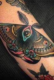 Modello di tatuaggio falena bellissimo squisito