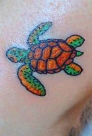 Patrón de tatuaxe de tartaruga de pequenas cores