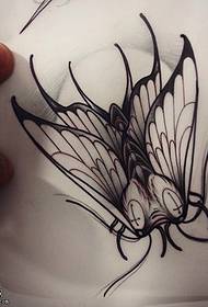 Rukopis moth tetování vzor