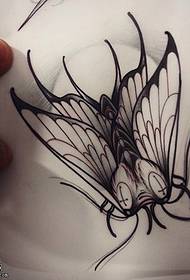 ຮູບແບບ tattoo moth ຂອງ ໜັງ ສືໃບລານ