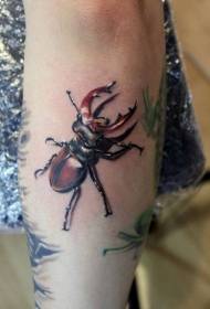 Mic model de tatuaj de insecte realist realist culoare