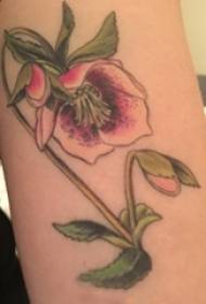 Meisies dye geverf gradiënt eenvoudige lyne plant literêre blom tatoeëermerke