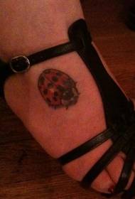 Instep-da ettita nuqta bo'lgan ladybug tatuirovkasi
