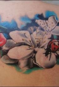 Cute ფერადი ladybugs და ყვავილები tattoo ნიმუში
