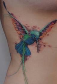 Uzorak tetoviranja hummingbird na trbuhu vodene boje