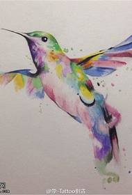 Xim splashing hummingbird tattoo daim qauv sau
