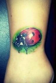 Àpẹẹrẹ ẹṣọ ara Tattoo kekere ati wuyi ladybug tatuu ilana