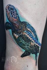 Maayo nga sumbanan sa turtle nga realistiko nga tattoo