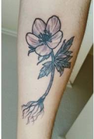 Vitello della scolara sulla spina nera semplice linea astratta immagine tatuaggio fiore pianta