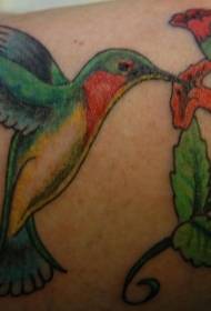 Ročna barva hummingbird s cvetličnim vzorcem tatoo